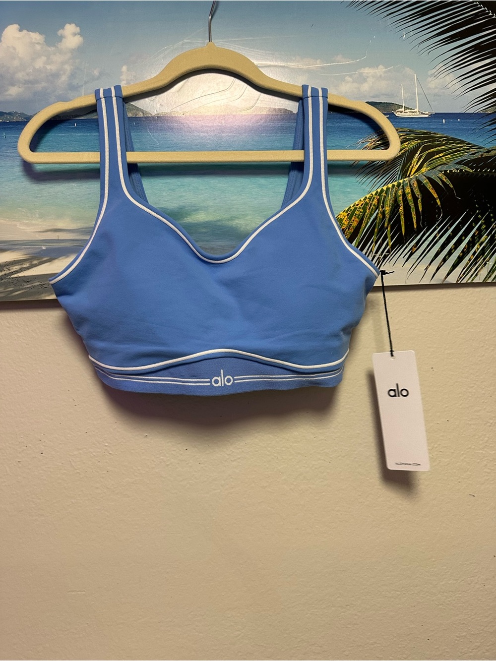 NEW SOLD OUT!! Rare Alo Airbrush Heart Throb Bra Crystal Clear Blue/White
Size L